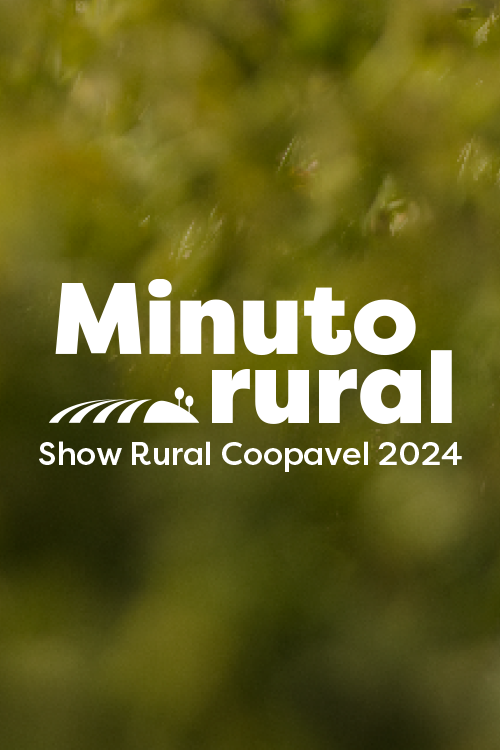 Minuto Rural